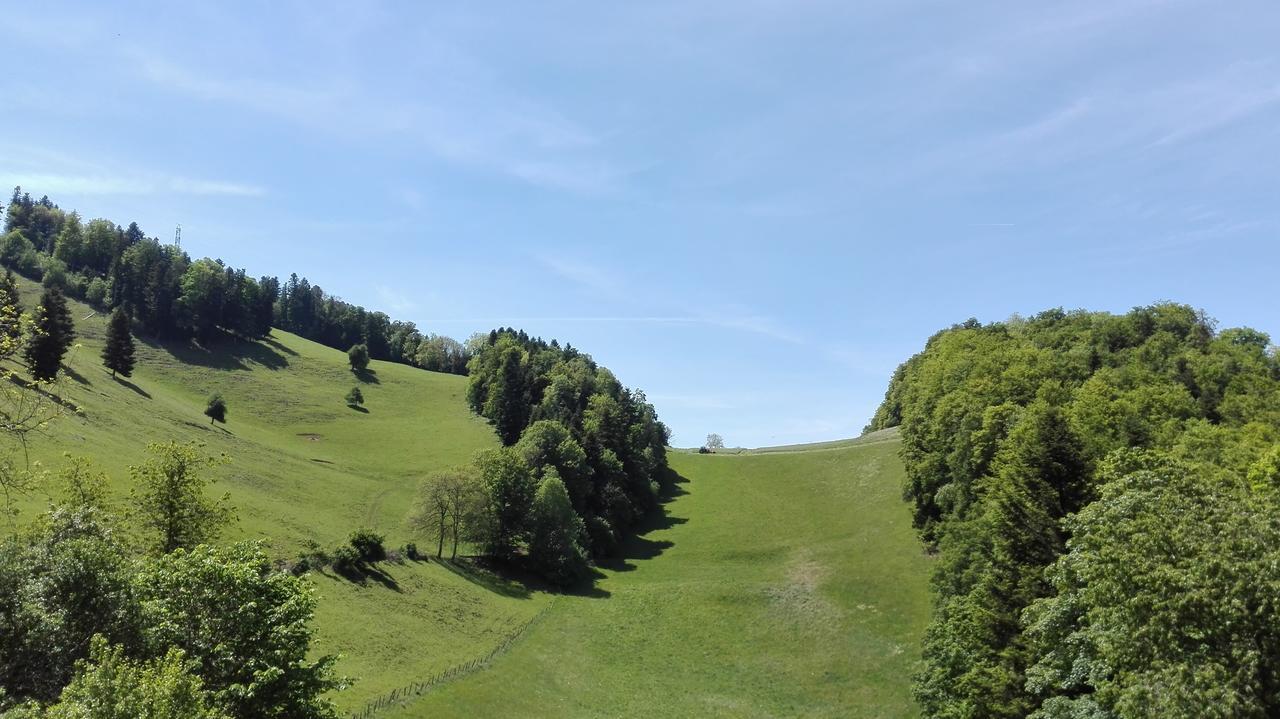 La Joux Chaupe Apartment Сент-Урсан Екстериор снимка